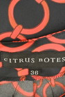 cITRUS nOTES（シトラスノーツ）の古着「商品番号：PR10121489」-6