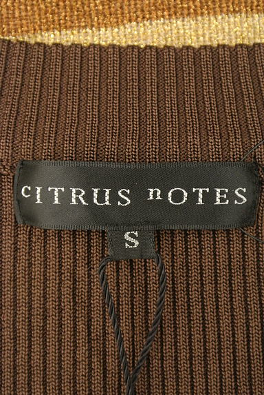 cITRUS nOTES（シトラスノーツ）の古着「（ワンピース・チュニック）」大画像６へ