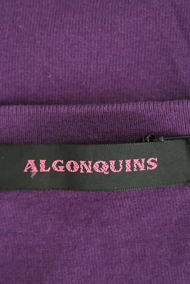 ALGONQUINS（アルゴンキン）の古着「（Ｔシャツ）」大画像６へ