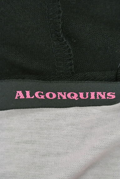 ALGONQUINS（アルゴンキン）の古着「（スウェット・パーカー）」大画像６へ