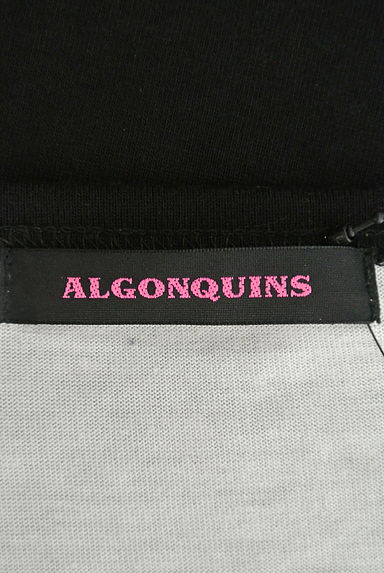 ALGONQUINS（アルゴンキン）の古着「（Ｔシャツ）」大画像６へ