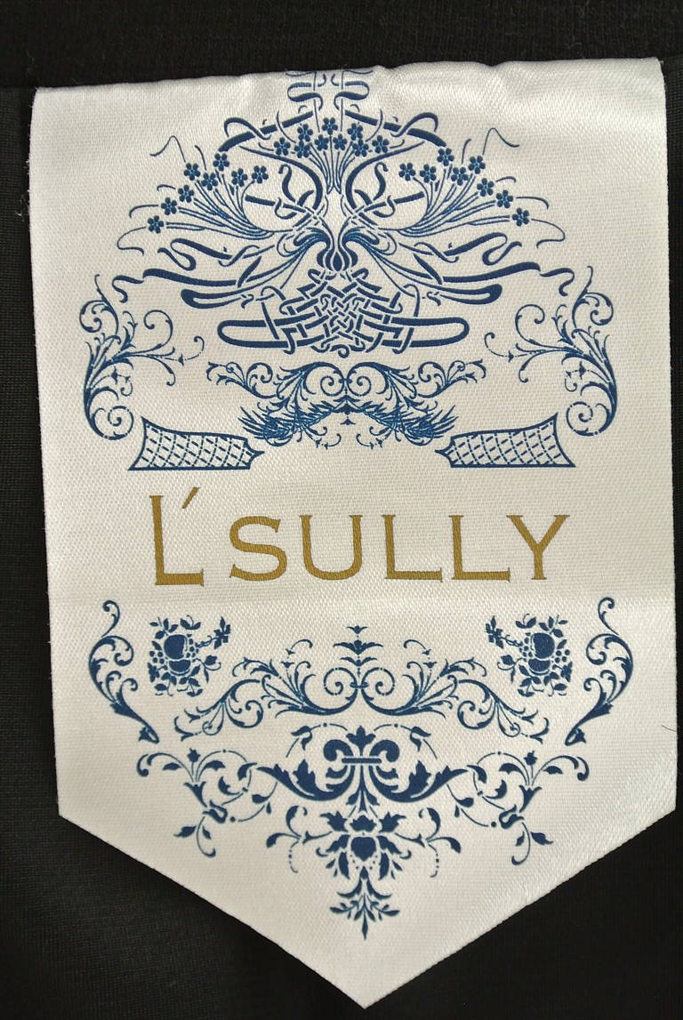 L'SULLY（ルスリー）の古着「商品番号：PR10172333」-大画像6
