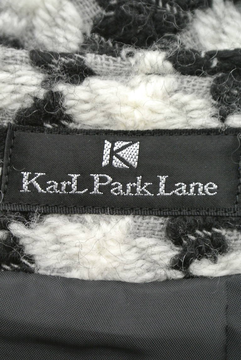 KarL Park Lane（カールパークレーン）の古着「商品番号：PR10172893」-大画像6