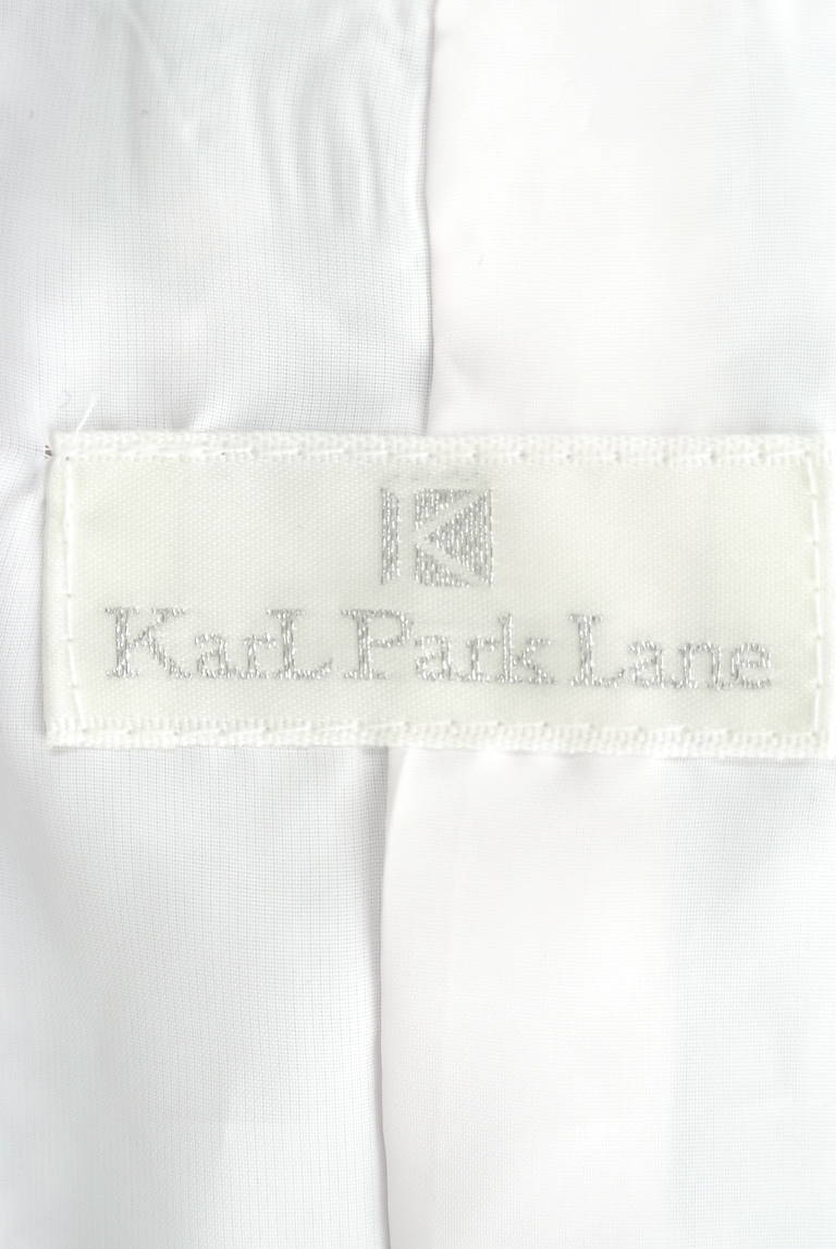 KarL Park Lane（カールパークレーン）の古着「商品番号：PR10173382」-大画像6