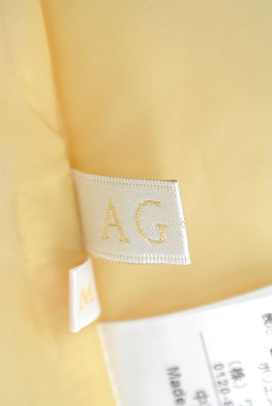 AG by aquagirl（エージーバイアクアガール）の古着「（スカート）」大画像６へ