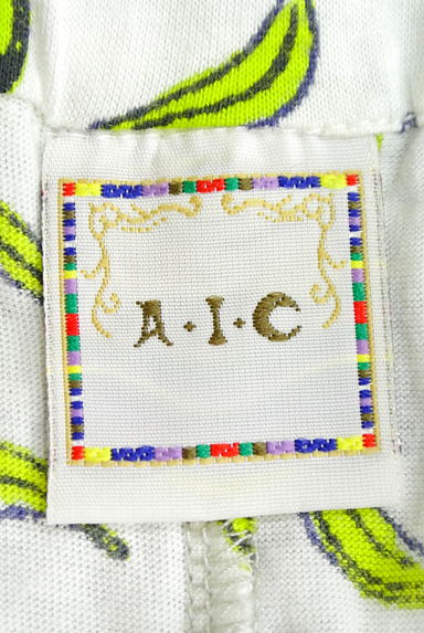 A.I.C（エーアイシー）の古着「（ロングスカート・マキシスカート）」大画像６へ