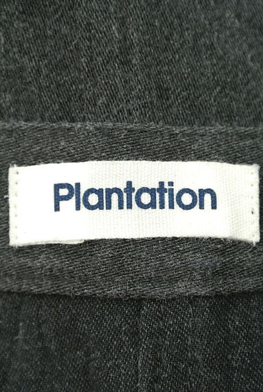 Plantation（プランテーション）の古着「（ミニスカート）」大画像６へ