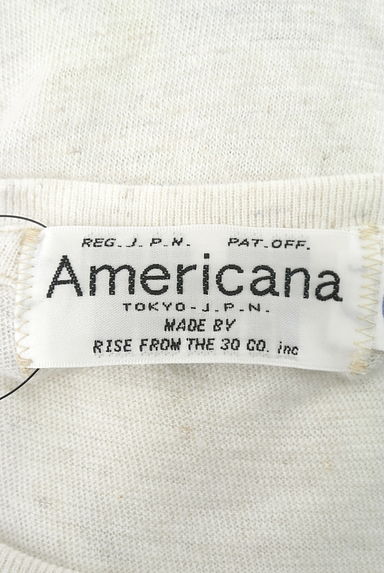 AMERICANA（アメリカーナ）の古着「レトロプリント杢Ｔシャツ（Ｔシャツ）」大画像６へ