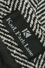 KarL Park Lane（カールパークレーン）の古着「商品番号：PR10182318」-6