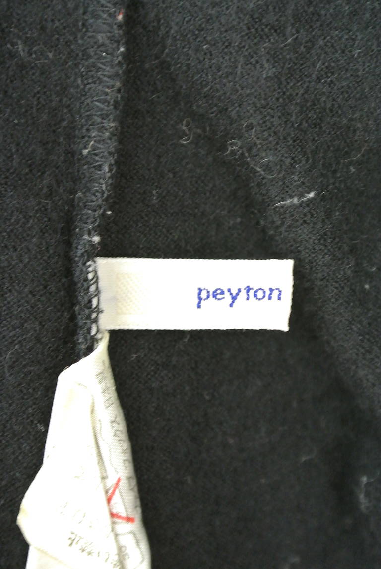 PEYTON PLACE（ペイトンプレイス）の古着「商品番号：PR10186565」-大画像6