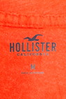 Hollister Co.（ホリスター）の古着「商品番号：PR10187953」-6