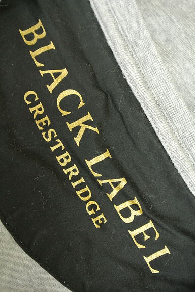 BLACK LABEL CRESTBRIDGE（ブラックレーベル・クレストブリッジ）の古着「薔薇プリントＴシャツ（Ｔシャツ）」大画像６へ