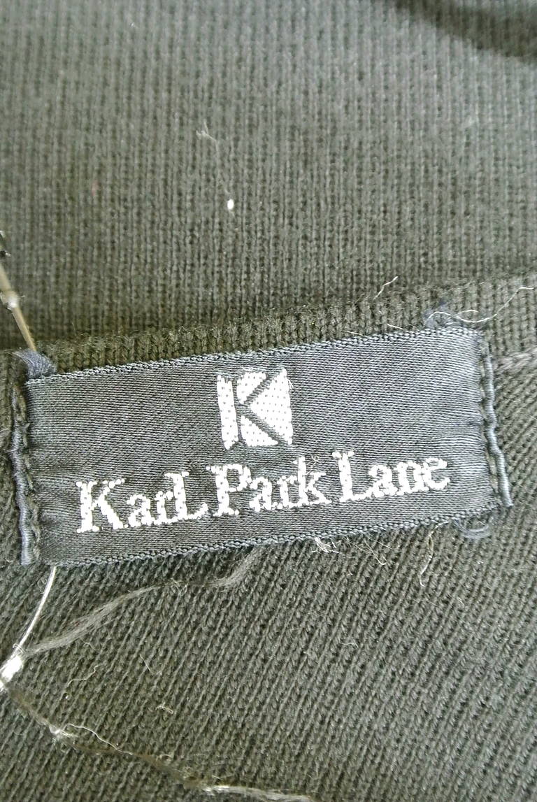 KarL Park Lane（カールパークレーン）の古着「商品番号：PR10193707」-大画像6