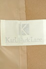 KarL Park Lane（カールパークレーン）の古着「商品番号：PR10196469」-6