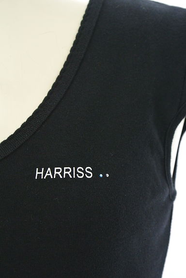 Harriss（ハリス）の古着「（Ｔシャツ）」大画像４へ