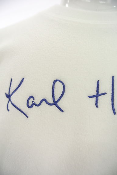 Karl Helmut（カールヘルム）の古着「（セーター）」大画像４へ