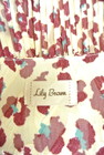 Lily Brown（リリーブラウン）の古着「商品番号：PR10203022」-6
