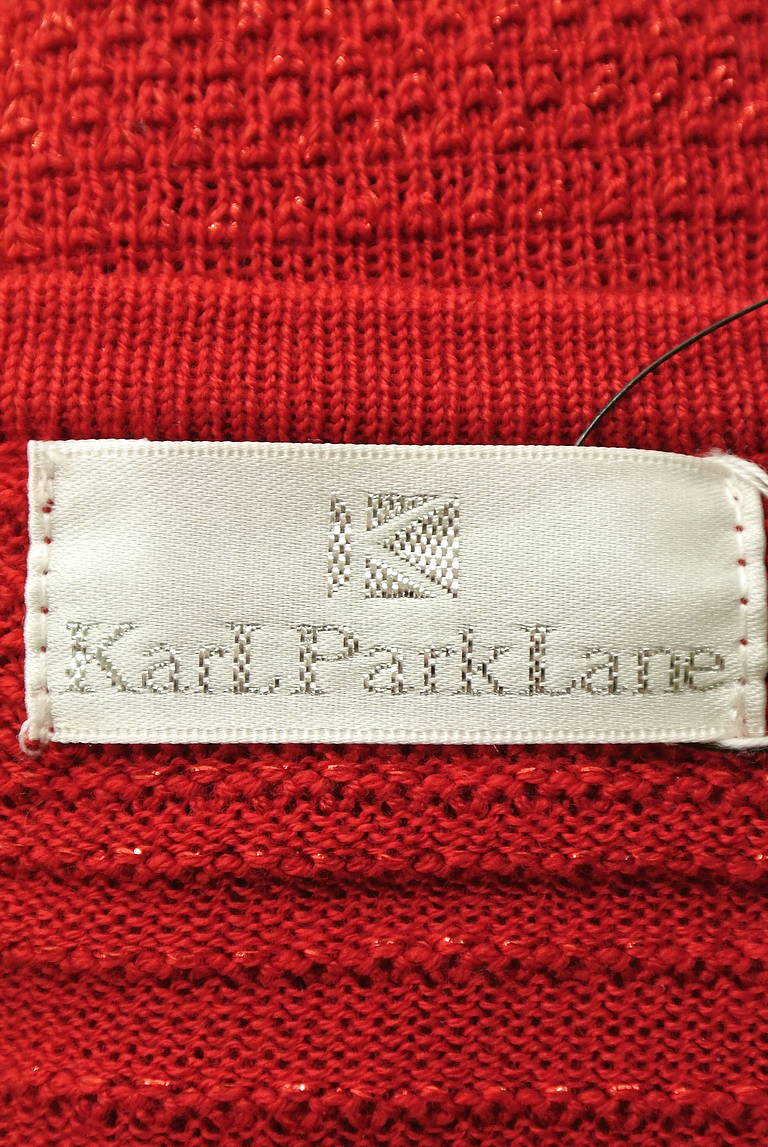 KarL Park Lane（カールパークレーン）の古着「商品番号：PR10204464」-大画像6