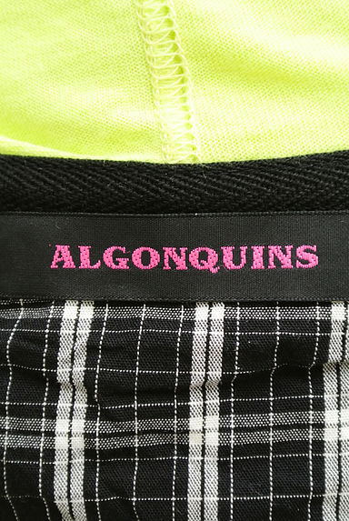 ALGONQUINS（アルゴンキン）の古着「（カットソー・プルオーバー）」大画像６へ