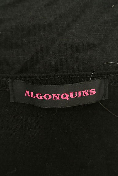 ALGONQUINS（アルゴンキン）の古着「（カットソー・プルオーバー）」大画像６へ