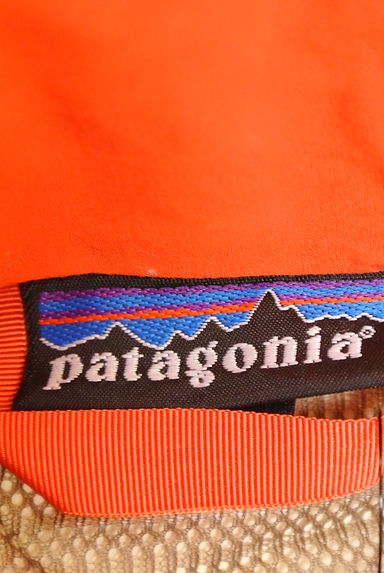 PATAGONIA（パタゴニア）の古着「裏メッシュロゴナイロンジャンパー（ブルゾン・スタジャン）」大画像６へ