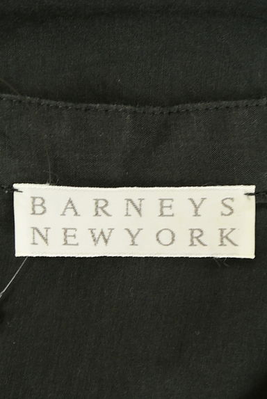 BARNEYS NEWYORK（バーニーズニューヨーク）の古着「フリルシフォンヨーク七分袖カットソー（カットソー・プルオーバー）」大画像６へ