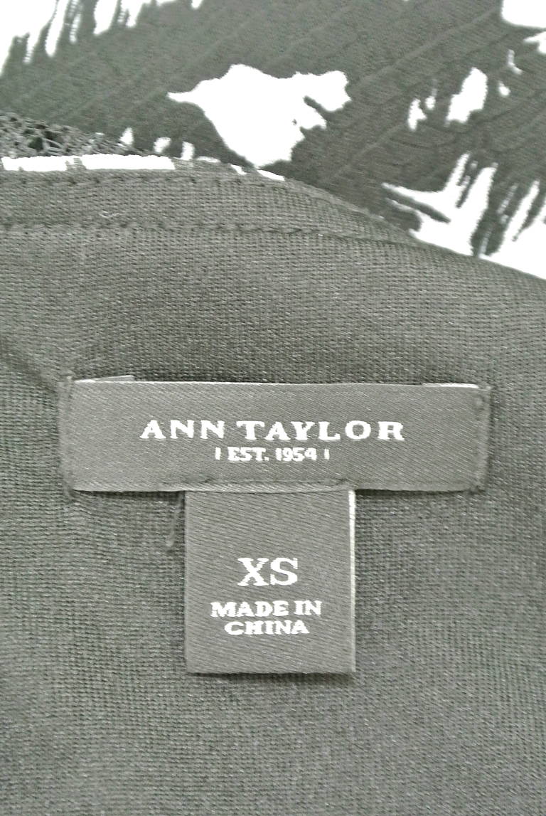 ANN TAYLOR（アンテイラー）の古着「商品番号：PR10213838」-大画像6