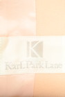 KarL Park Lane（カールパークレーン）の古着「商品番号：PR10215741」-6