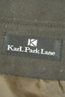 KarL Park Lane（カールパークレーン）の古着「商品番号：PR10222661」-6