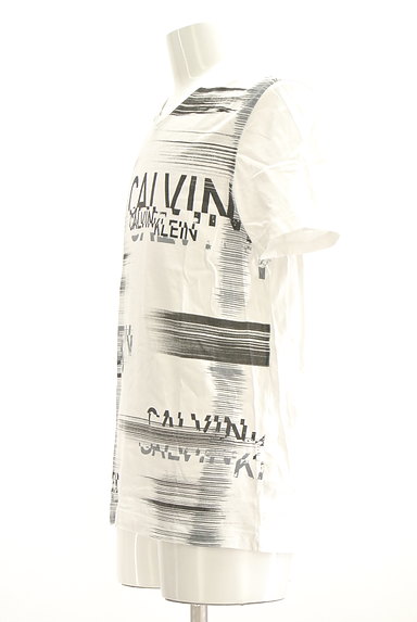Calvin Klein（カルバンクライン）の古着「グラデーションロゴプリントＴシャツ（Ｔシャツ）」大画像３へ