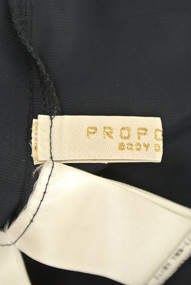 PROPORTION BODY DRESSING（プロポーションボディ ドレッシング）の古着「襟付き総レースカットソー（カットソー・プルオーバー）」大画像６へ
