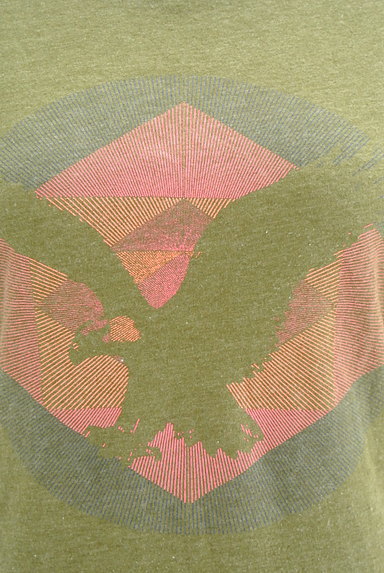 AMERICAN EAGLE OUTFITTERS（アメリカンイーグルアウトフィッターズ）の古着「ラウンドヘムロゴマークロングTシャツ（Ｔシャツ）」大画像４へ