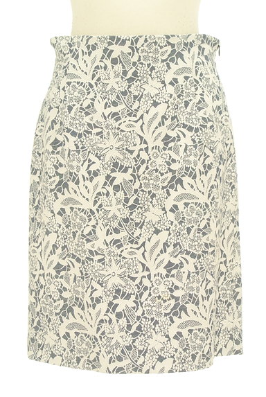 NATURAL BEAUTY BASIC（ナチュラルビューティベーシック）の古着「ラメ刺繍総レーススカート（スカート）」大画像１へ