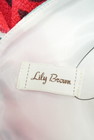 Lily Brown（リリーブラウン）の古着「商品番号：PR10235499」-6