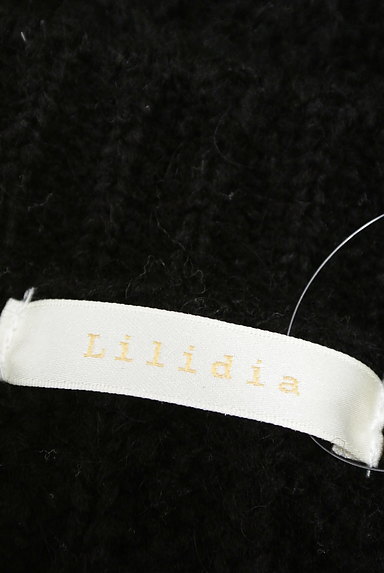 Lilidia（リリディア）の古着「シンプルケーブルニット（ニット）」大画像６へ