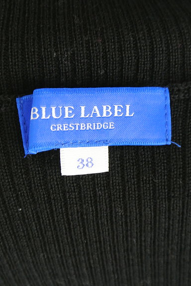 BLUE LABEL CRESTBRIDGE（ブルーレーベル・クレストブリッジ）の古着「タートルネックリブニット（ニット）」大画像６へ