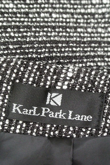 KarL Park Lane（カールパークレーン）の古着「エレガンスラメタイトスカート（ミニスカート）」大画像６へ