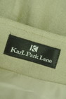 KarL Park Lane（カールパークレーン）の古着「商品番号：PR10238950」-6