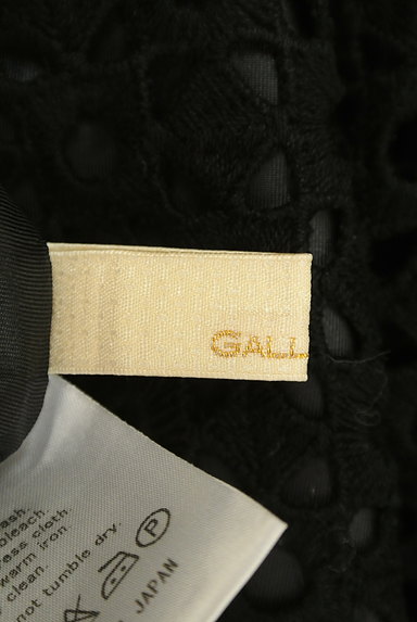 GALLARDAGALANTE（ガリャルダガランテ）の古着「シアー刺繍フレアスカート（ミニスカート）」大画像６へ