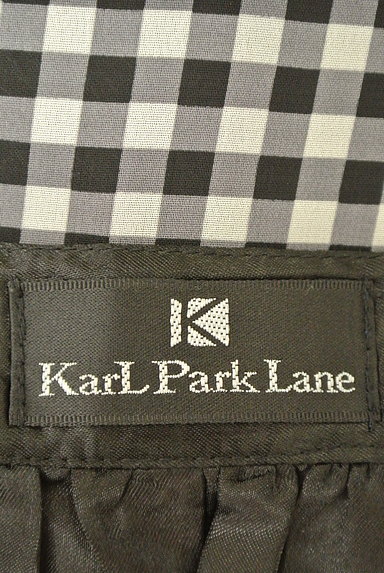 KarL Park Lane（カールパークレーン）の古着「エアリーシフォンスカート（スカート）」大画像６へ