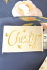 Chesty（チェスティ）の古着「商品番号：PR10239696」-6