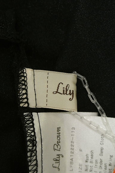 Lily Brown（リリーブラウン）の古着「丸襟シアーフレアブラウス（カットソー・プルオーバー）」大画像６へ