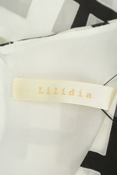 Lilidia（リリディア）の古着「チェック柄シアーカットソー（カットソー・プルオーバー）」大画像６へ