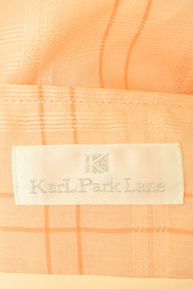 KarL Park Lane（カールパークレーン）の古着「シアーチェック柄フレアスカート（スカート）」大画像６へ