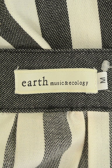 earth music&ecology（アースミュージック＆エコロジー）の古着「ストライプフレアミニスカート（ミニスカート）」大画像６へ