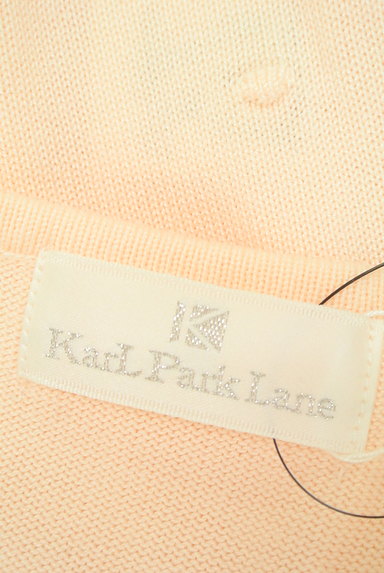 KarL Park Lane（カールパークレーン）の古着「ドット柄刺繍ニットトップス（ニット）」大画像６へ