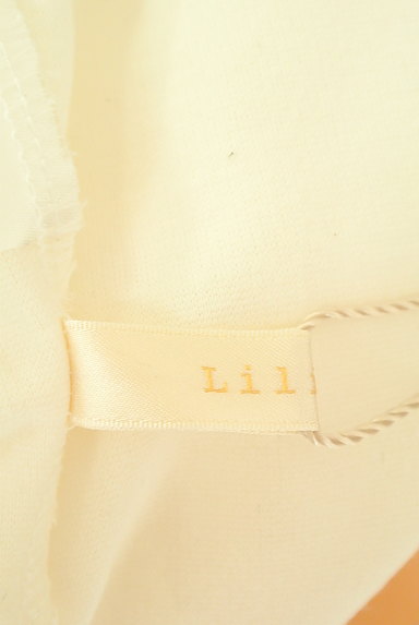 Lilidia（リリディア）の古着「刺繍総レースタイトスカート（スカート）」大画像６へ