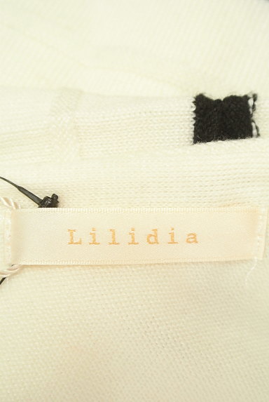 Lilidia（リリディア）の古着「編みボーダー柄Ｖネックニット（ニット）」大画像６へ
