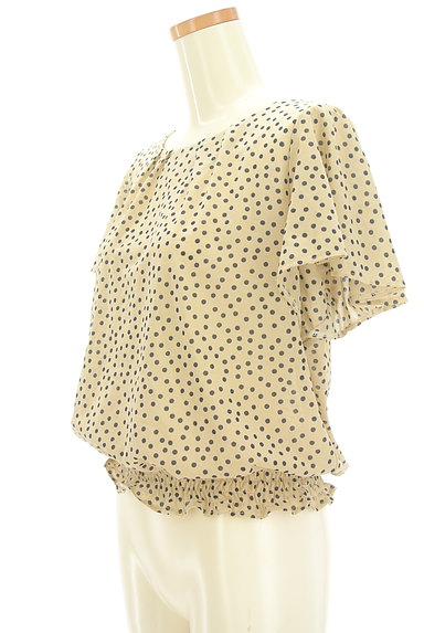 Couture Brooch（クチュールブローチ）の古着「ブラウジングドットカットソー（カットソー・プルオーバー）」大画像３へ