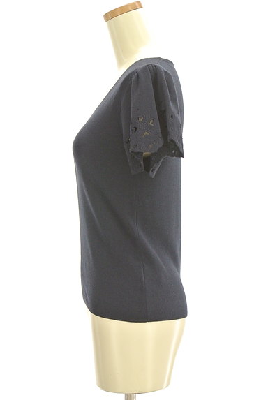 PROPORTION BODY DRESSING（プロポーションボディ ドレッシング）の古着「カットワーク刺繍袖ニット（ニット）」大画像３へ